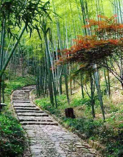 【好书连载】戏缘&mdash;&mdash;孙崇涛自述（之十四）