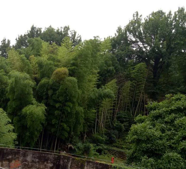 【好书连载】戏缘&mdash;&mdash;孙崇涛自述（之二十六）