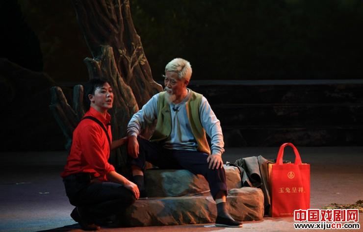 《槐花几时开》