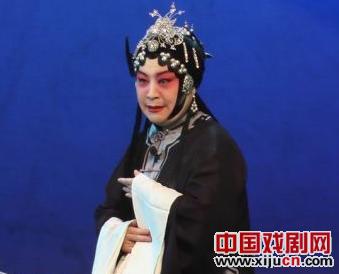 安阳市豫剧团副团长：张晓霞