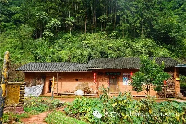 新编现代爱情川剧《爱情天梯》