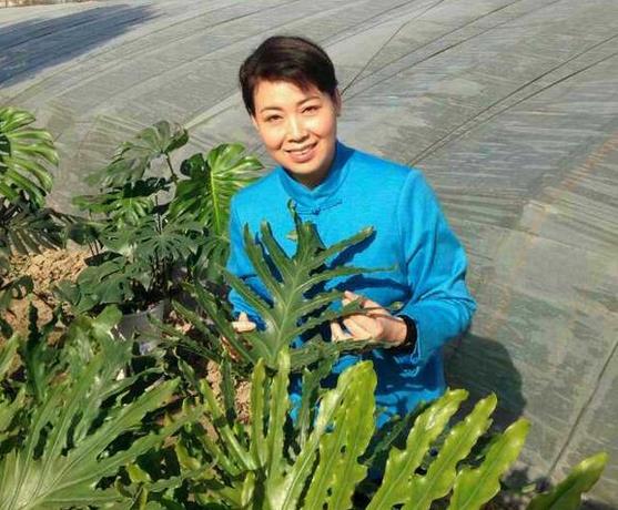 梨园春将举办方素珍专场演唱会