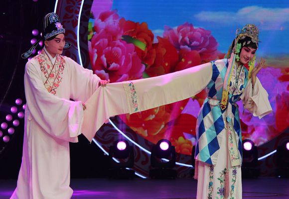 豫剧《必正与妙常》李朋杰