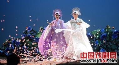 &ldquo;小百花&rdquo;争艳上海滩