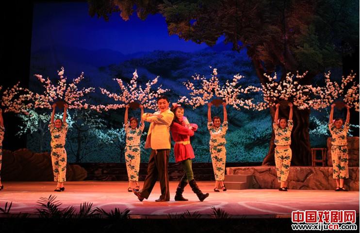 《槐花几时开》