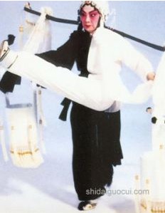 台湾菊坛皇后戴绮霞