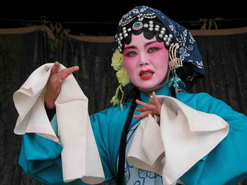 王丹&mdash;&mdash;盛开在评剧大花园里的一朵牡丹