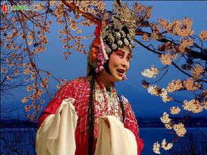 李新花：穷乡僻壤小花茁长