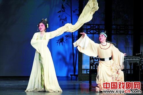 杨小青导演作品展演