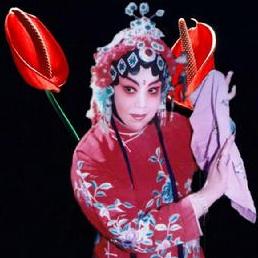 豫剧文小生、女小生泰斗：王素君