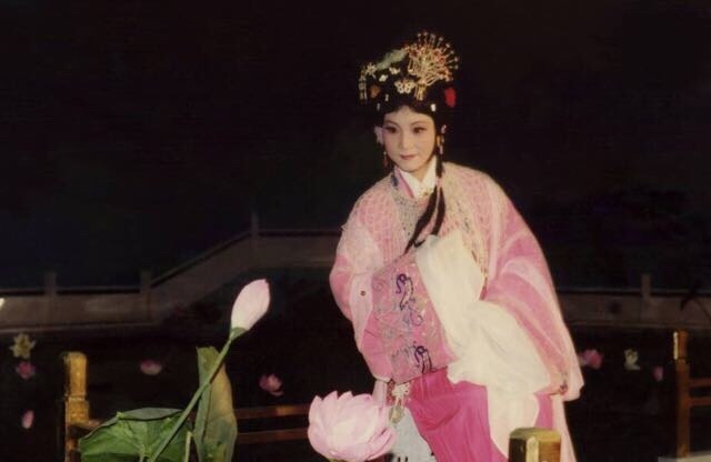 凤舞九天--邢台豫剧名旦胡小凤