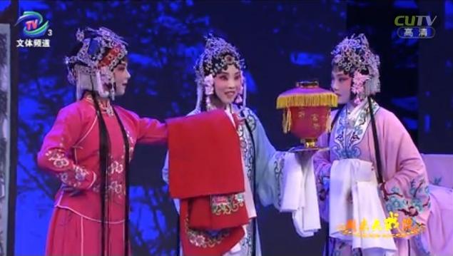 河南素雅青年豫剧团青春版《桃李梅》