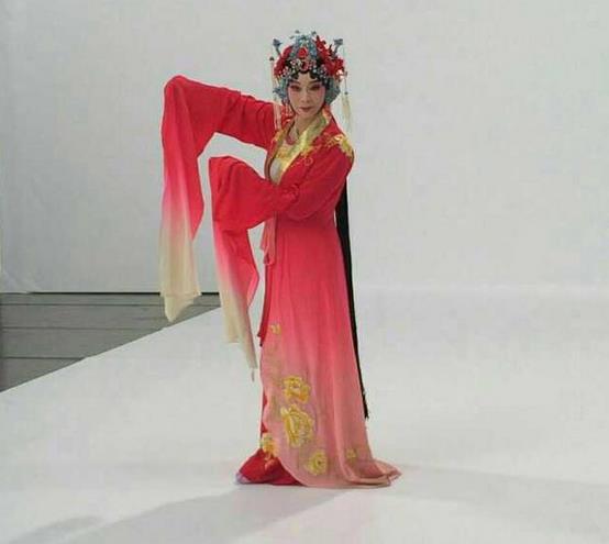 3月17日梨园春将举办方素珍专场演唱会