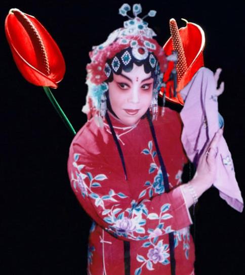 豫剧名家王素君：&ldquo;旦生双抱&rdquo; 素音雅韵