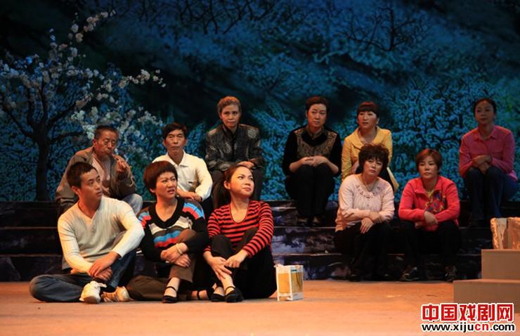 《槐花几时开》