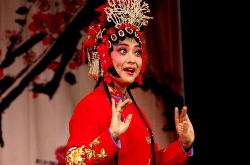 声情并茂，艺术高超&mdash;&mdash;我眼中的豫剧表演艺术家王红丽