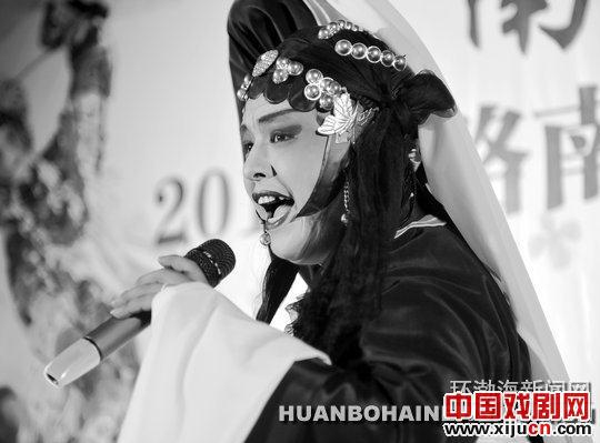 &ldquo;南湖明珠杯&rdquo;2013&ldquo;路南之夜&rdquo;消夏晚会启动仪式暨第二届评剧票友大赛