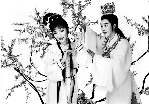 赏红楼品西厢看追鱼