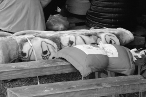 浙江小百花越剧团一团下乡演出 戏迷带来了被褥&ldquo;占座&rdquo;准备在戏场度过几个晚上