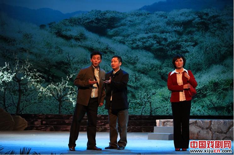 《槐花几时开》