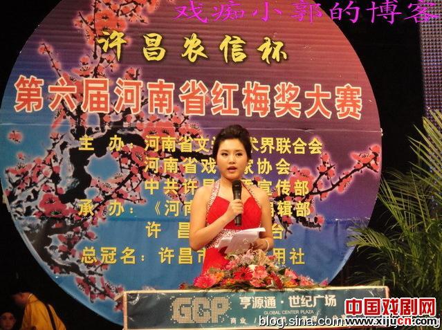河南省第六届红梅杯大赛掠影