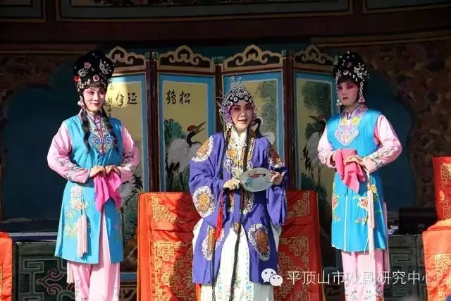 豫剧院《桃李梅》主演白伟 常淑珍