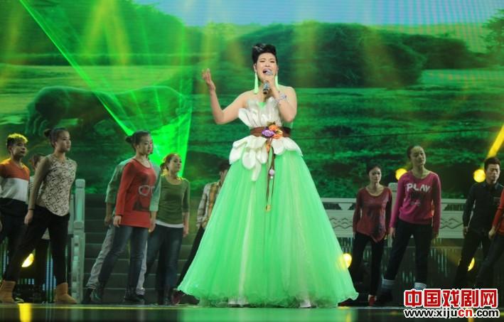 王光姣2014新年演唱会