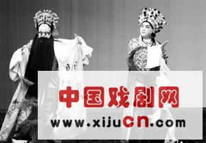 赵永伟：京剧推介不能削足适履