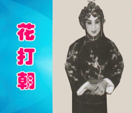 别具一格的安阳豫剧名家王秀真