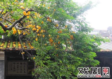 沙湾往事，不应忘记&ldquo;勾鼻章&rdquo;