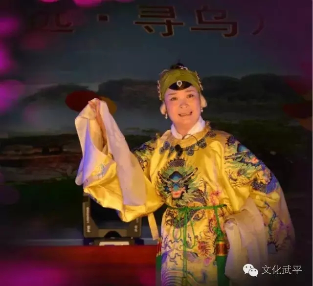 武平汉剧团青年演员林丽华