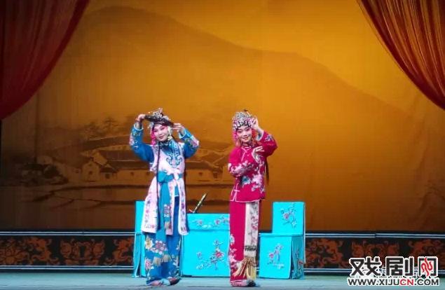 周五有戏—南国牡丹摄影、征文比赛