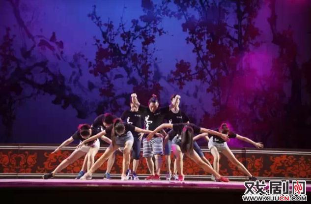 周五有戏—南国牡丹摄影、征文比赛