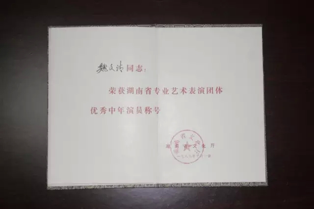 魏文清部分获奖证书