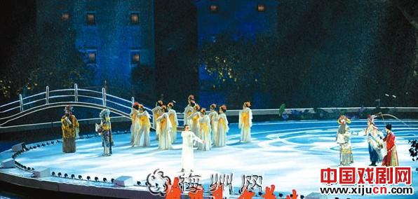 &ldquo;南国牡丹&rdquo;常开不败