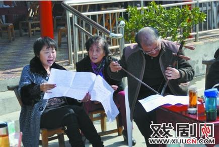 致力于汉剧&ldquo;绽放&rdquo;的园丁&mdash;&mdash;记陕西安康汉调二黄研究院院长袁朝玲