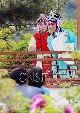 牡丹亭里欣赏昆曲《牡丹亭》选段