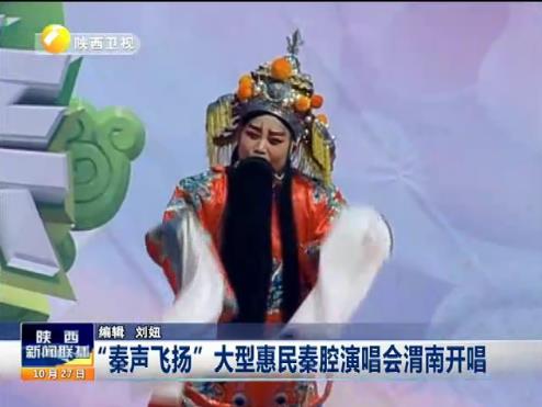 &ldquo;秦声飞扬&rdquo;大型惠民秦腔演唱会
