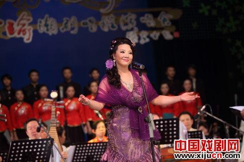 &ldquo;潮剧是姓潮的&rdquo;&mdash;&mdash;王少瑜演唱会观感