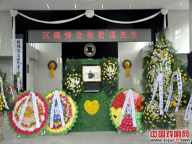 蜻蜓折翼，深切悼念张君谋先生