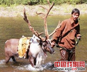 《敖鲁古雅》呼吁环保