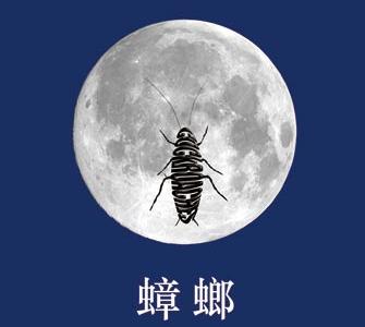 话剧《蟑螂》老阵容，新视角