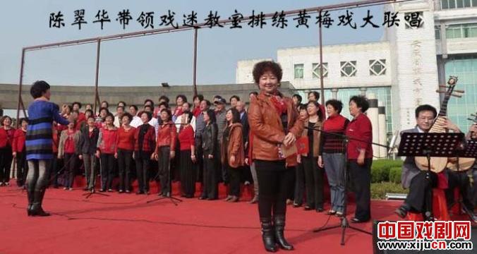 黄梅戏的守望者&mdash;&mdash;陈翠华