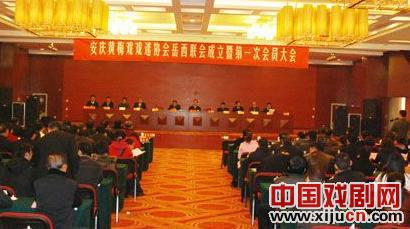 安庆黄梅戏戏迷协会岳西联会成立