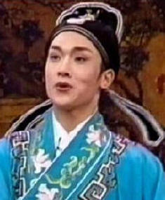 黄梅戏新秀：梅院军