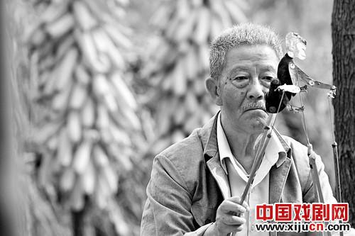 上海电视节重点剧《皮影人》推介会举行