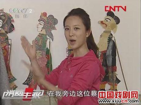 仙桃市江汉动漫皮影艺术团参加湖北省首届皮影戏调演