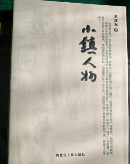 艰难生活中的挣扎&mdash;&mdash;读王彦耘先生小说集《小镇人物》