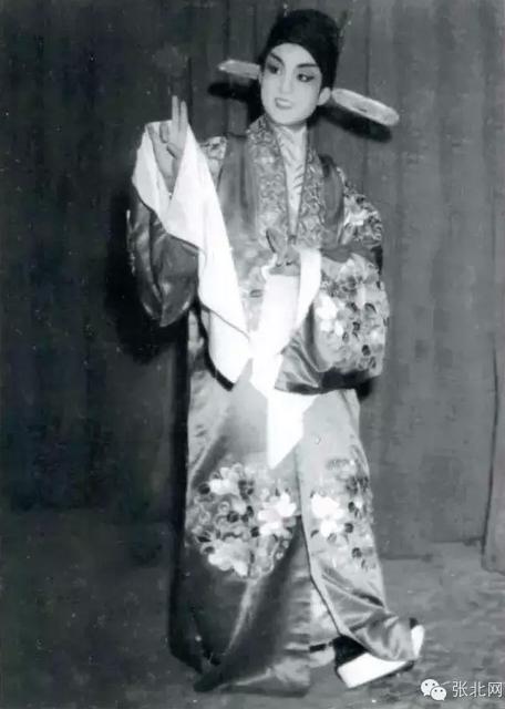 张北草原上的马兰&mdash;&mdash;史桂兰