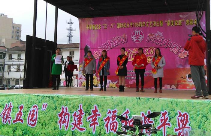 汉阴平梁镇表彰弘扬良好家风 践行核心价值观先进庆三八